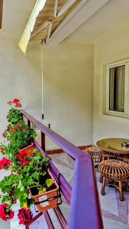 Casa Miorita Villa Cumpăna Exterior foto